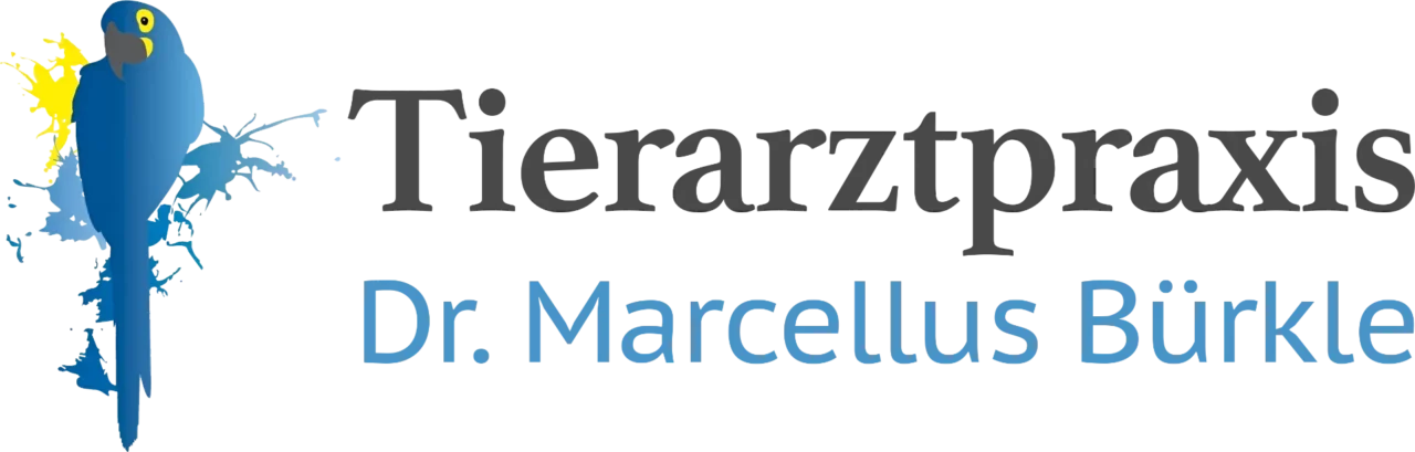 Tierarztpraxis Dr. Bürkle